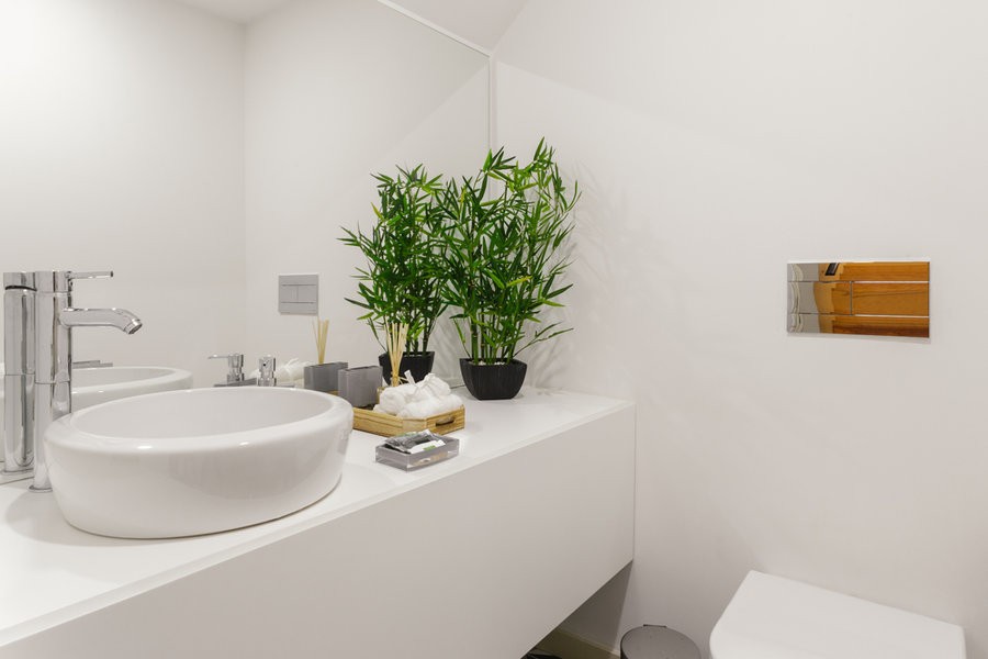 Rostliny v koupelně – jaké vybrat, aby zdobily interiér?