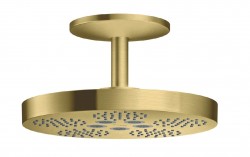 AXOR - One Hlavová sprcha, průměr 28 cm, 2 proudy, kartáčovaná mosaz (48494950)