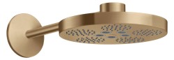 AXOR - One Hlavová sprcha, průměr 28 cm, 2 proudy, kartáčovaný bronz (48492140)