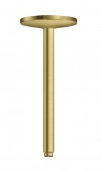 AXOR - One Sprchové rameno stropní, 30 cm, kartáčovaná mosaz (48495950)