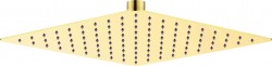 DEANTE - Cascada zlato Sprchová hlavice, ocel - 250x250 mm (NAC_Z02K)