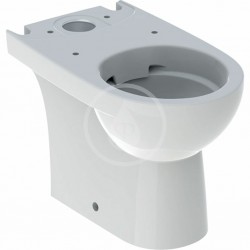 GEBERIT - Selnova Comfort WC kombi mísa, Rimfree, bílá (500.478.01.1)