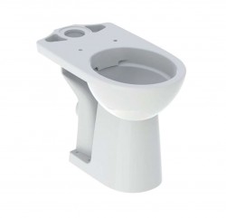 GEBERIT - Selnova Comfort WC kombi mísa, zadní odpad, Rimfree, bílá (500.486.01.7)