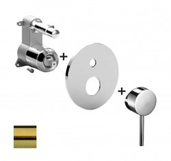 PAFFONI - Light Baterie pod omítku pro 2 spotřebiče, kartáčovaná zlatá (LIGBOX015HGSP/M)